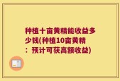 种植十亩黄精能收益多少钱(种植10亩黄精：预计可获高额收益)