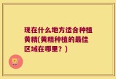 现在什么地方适合种植黄精(黄精种植的最佳区域在哪里？)