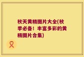 秋天黄精图片大全(秋季必备！丰富多彩的黄精图片合集)