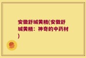 安徽舒城黄精(安徽舒城黄精：神奇的中药材)