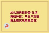 从化滇黄精种苗(化滇黄精种苗：从生产到销售全程实现质量监管)