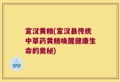 宣汉黄精(宣汉县传统中草药黄精唤醒健康生命的奥秘)