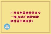 广西钦州黄精种苗多少一棵(探访广西钦州黄精种苗市场现状)