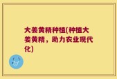 大姜黄精种植(种植大姜黄精，助力农业现代化)