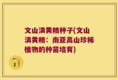 文山滇黄精种子(文山滇黄精：南亚高山珍稀植物的种苗培育)