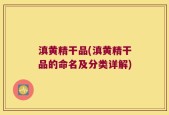 滇黄精干品(滇黄精干品的命名及分类详解)