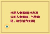 壮励人参黄精(壮志凌云的人参黄精，气势磅礴，助您活力无限)
