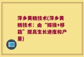 萍乡黄精技术(萍乡黄精技术：由“嫁接+移栽”提高生长速度和产量)