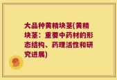 大品种黄精块茎(黄精块茎：重要中药材的形态结构、药理活性和研究进展)