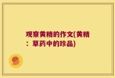 观察黄精的作文(黄精：草药中的珍品)