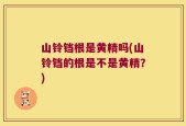 山铃铛根是黄精吗(山铃铛的根是不是黄精？)
