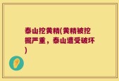 泰山挖黄精(黄精被挖掘严重，泰山遭受破坏)