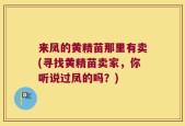来凤的黄精苗那里有卖(寻找黄精苗卖家，你听说过凤的吗？)