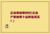 云南黄精哪种好(云南产黄精哪个品牌值得买？)