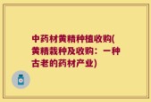 中药材黄精种植收购(黄精栽种及收购：一种古老的药材产业)