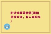 附近谁要黄精苗(黄精苗受欢迎，有人来购买)