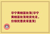 华宁黄精苗批发(华宁黄精苗批发现货充足，价格优惠卖家直发)