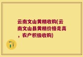 云南文山黄精收购(云南文山县黄精价格走高，农户积极收购)