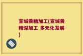 宣城黄精加工(宣城黄精深加工 多元化发展)