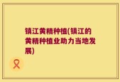 镇江黄精种植(镇江的黄精种植业助力当地发展)