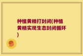 种植黄精打封闭(种植黄精实现生态封闭循环)