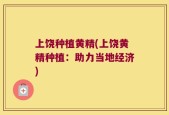 上饶种植黄精(上饶黄精种植：助力当地经济)