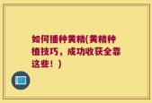 如何播种黄精(黄精种植技巧，成功收获全靠这些！)