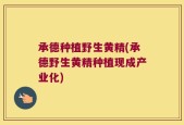 承德种植野生黄精(承德野生黄精种植现成产业化)