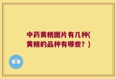 中药黄精图片有几种(黄精的品种有哪些？)