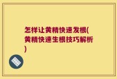 怎样让黄精快速发根(黄精快速生根技巧解析)