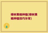 樟树黄精种植(樟树黄精种植技巧分享)