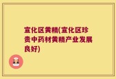 宣化区黄精(宣化区珍贵中药材黄精产业发展良好)