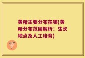 黄精主要分布在哪(黄精分布范围解析：生长地点及人工培育)