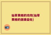 仙草黄精的功效(仙草黄精的健康益处)