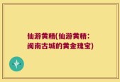 仙游黄精(仙游黄精：闽南古城的黄金瑰宝)