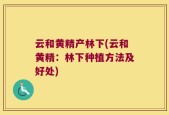 云和黄精产林下(云和黄精：林下种植方法及好处)