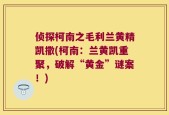 侦探柯南之毛利兰黄精凯撒(柯南：兰黄凯重聚，破解“黄金”谜案！)