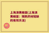 上海滇黄精苗(上海滇黄精苗：预防药材短缺的有效方法)