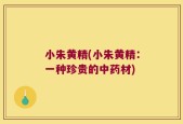 小朱黄精(小朱黄精：一种珍贵的中药材)