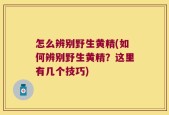 怎么辨别野生黄精(如何辨别野生黄精？这里有几个技巧)