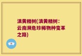 滇黄精树(滇黄精树：云南濒危珍稀物种变革之路)