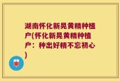 湖南怀化新晃黄精种植户(怀化新晃黄精种植户：种出好精不忘初心)