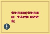 贵池县黄精(贵池县黄精：生态种植 增收致富)