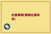 壮丽黄精(黄精壮丽风光)