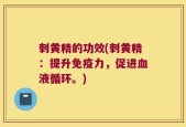 刺黄精的功效(刺黄精：提升免疫力，促进血液循环。)