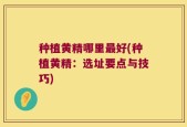 种植黄精哪里最好(种植黄精：选址要点与技巧)