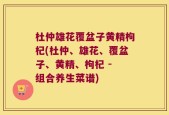 杜仲雄花覆盆子黄精枸杞(杜仲、雄花、覆盆子、黄精、枸杞 - 组合养生菜谱)