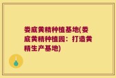 娄底黄精种植基地(娄底黄精种植园：打造黄精生产基地)