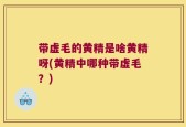带虚毛的黄精是啥黄精呀(黄精中哪种带虚毛？)