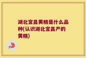 湖北宜昌黄精是什么品种(认识湖北宜昌产的黄精)